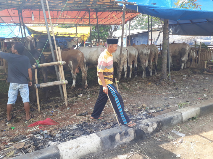 Pedagang Hewan Kurban Bayar Rp10 Juta untuk Buka Lapak