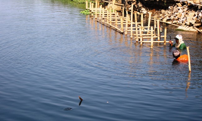 Dituding Biang Pencemaran Sungai, Perajin Tahu Buang Limbah ke Sawah