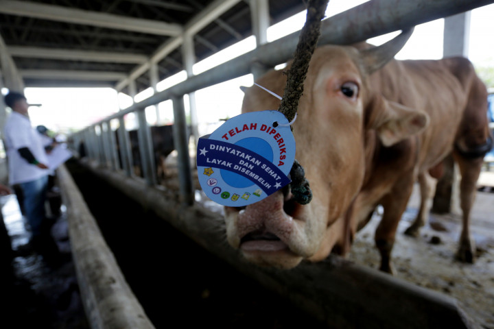 Kalla akan Serahkan Hewan Kurban kepada Masjid Istiqlal