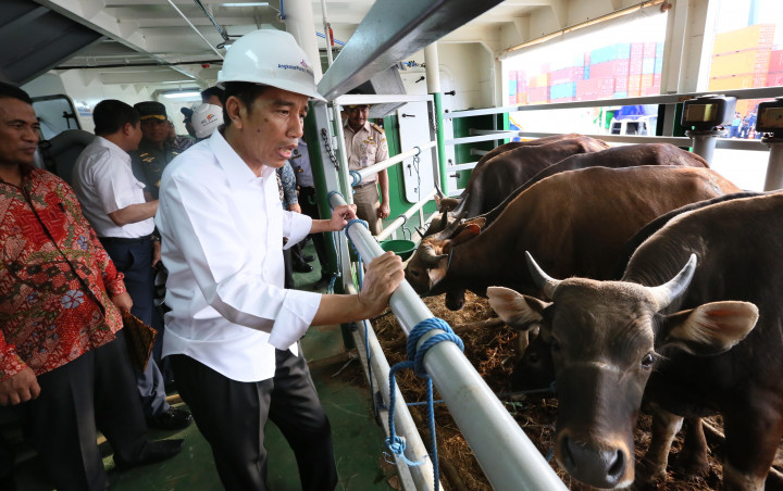 Presiden Sumbang Hewan Kurban ke Masjid Agung Palembang