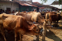 Menyembelih Ego dalam Diri