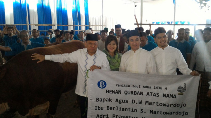 Gubernur BI Sumbang Sapi Seberat Lebih dari 1 Ton