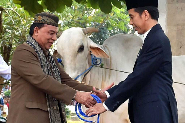Jokowi Serahkan Sapi Seberat 1,2 Ton di Masjid Agung Sukabumi