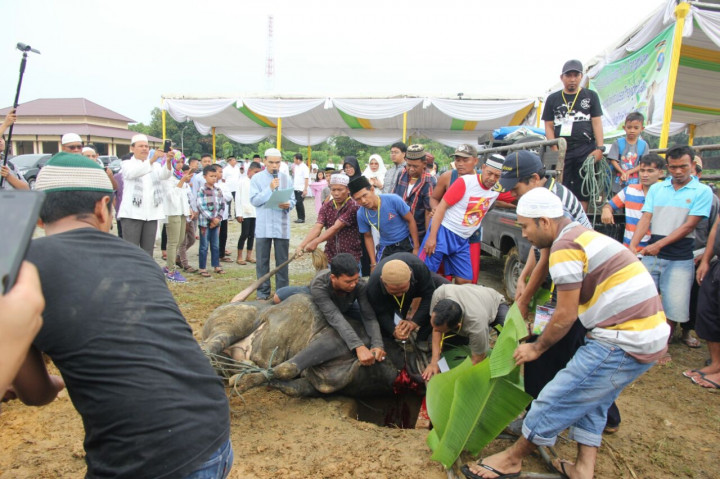 Polda Sumut Sembelih 236 Sapi dan 106 Kambing