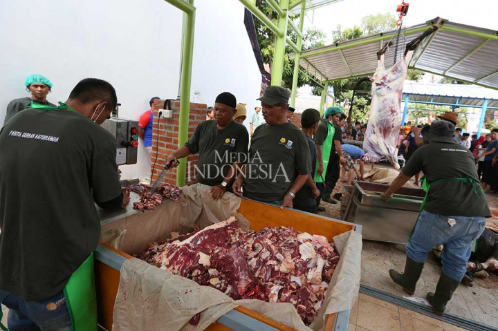 Model Penampungan dan Pemotongan Hewan Kurban