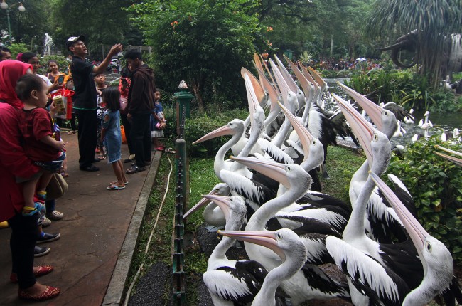 Taman Margasatwa Ragunan Lengang