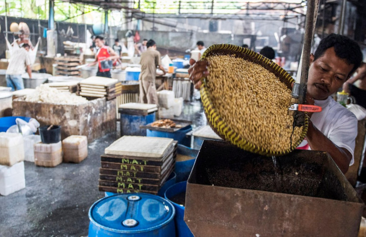 Lampung Cetak Produksi Kedelai 9.960 Ton