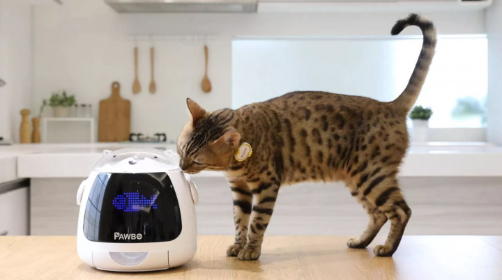 Perangkat Pawbo Ini Spesial untuk Hewan Peliharaan