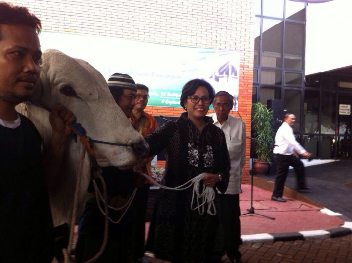 Menkeu Kurban Sapi Seberat 780 Kg di Kemenkeu