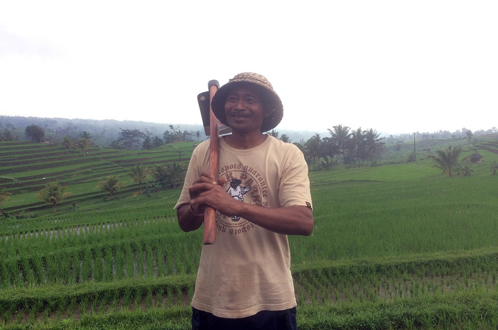 I Gede Made Suparta, petani di Jatiluwih, Kabupaten Tabanan, Bali -- MTVN/Raiza Andini