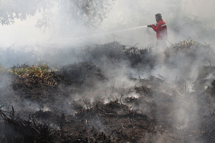Indonesia jadi Tuan Rumah Pengurangan Emisi Karbon Dunia