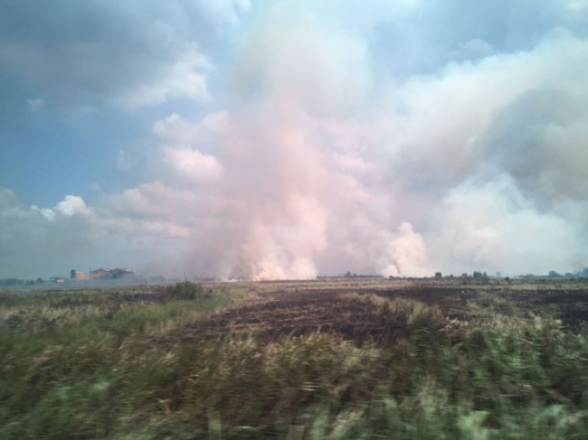 Isu Kebakaran Lahan akan Dibahas di Pertemuan GCF