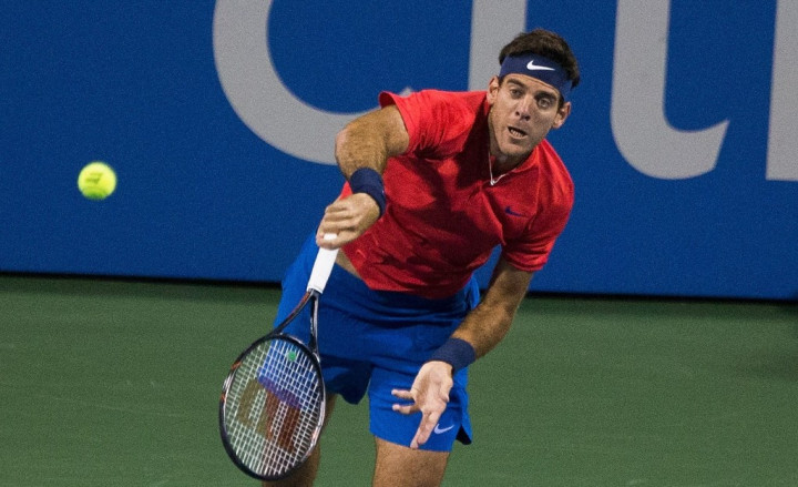 Juan Martin Del Potro Merusak Skenario Duel Klasik Federer vs Nadal