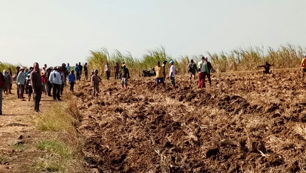 Aktivitas PG Jatitujuh di lahan HGU tebu di Kabupaten Indramayu dan Majalengka terganggu aksi massa. (FOTO: Dokumentasi RNI)