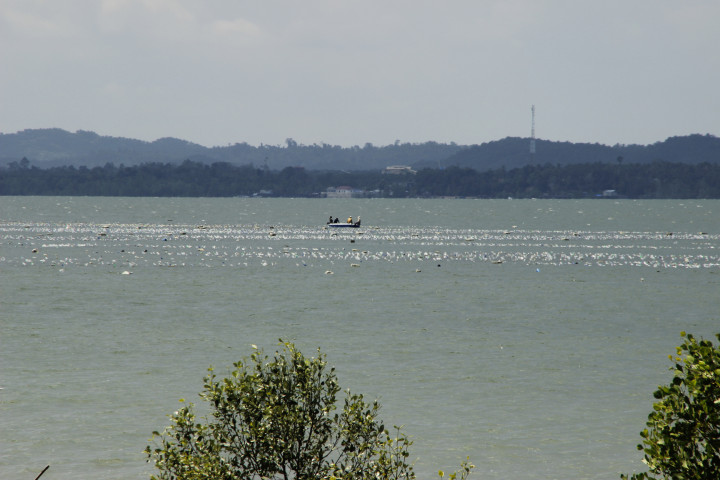 Pemerintah Bakal Bangun Bandara di Pulau Sebatik