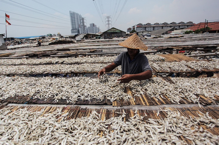 Produksi Ikan Asin di Muara Angke Meningkat 50%