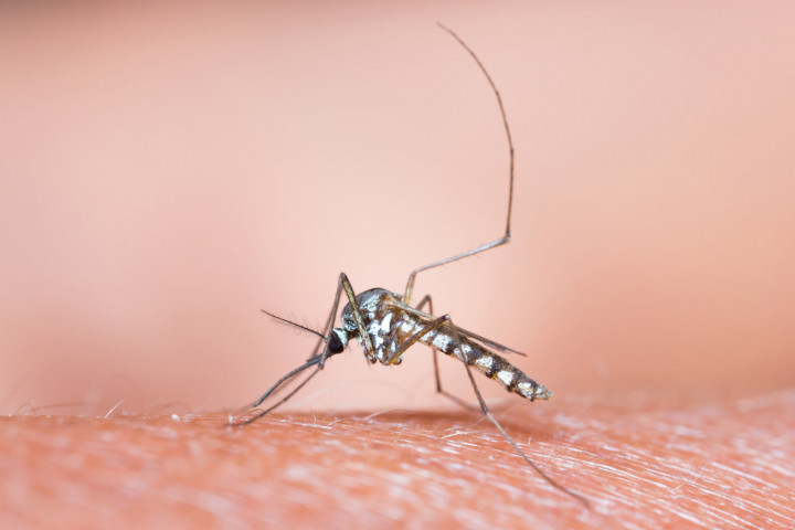 Ilmuwan Gunakan Satelit untuk Prediksi Wabah Malaria
