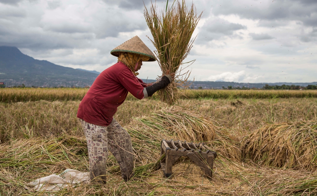 Ilustrasi (MI/RAMDANI)