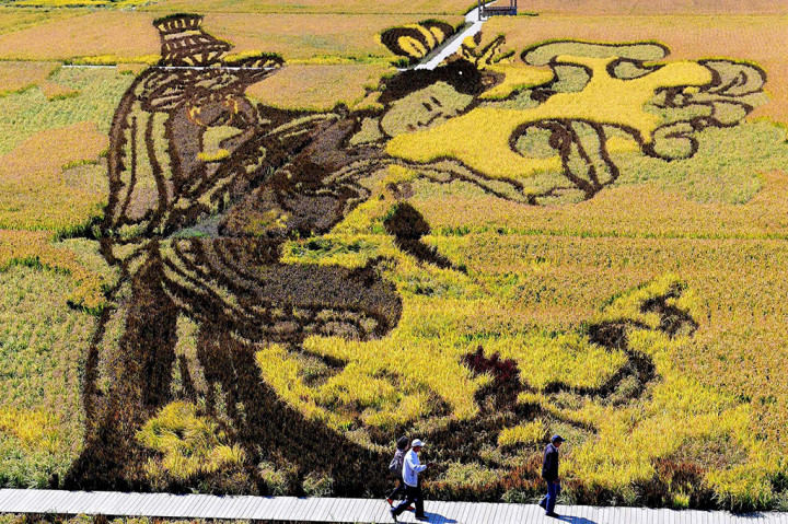 Uniknya Mural Tanaman Padi di Tiongkok