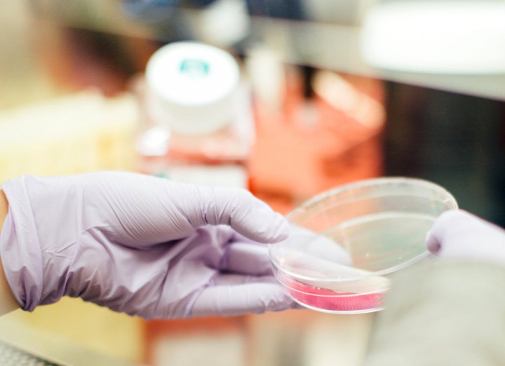 WHO: Antibiotik Mulai Tak Mempan Hadapi Beberapa Jenis Penyakit