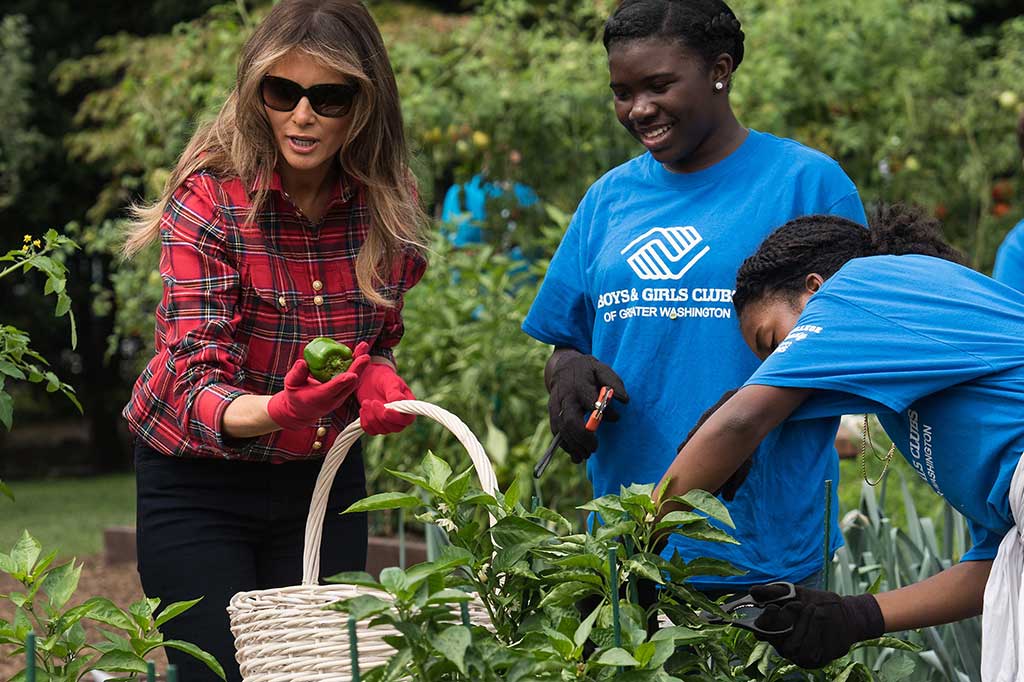 Melania Trump Memanen Kebun Sayur Michelle Obama