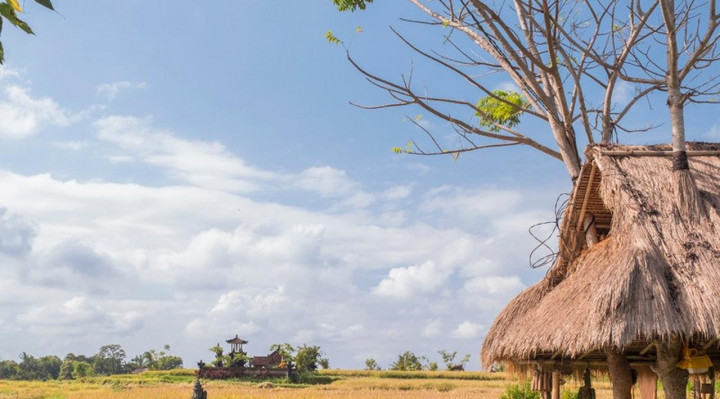 Mencoba Nikmatnya Jadi Orang Desa di Visesa Ubud