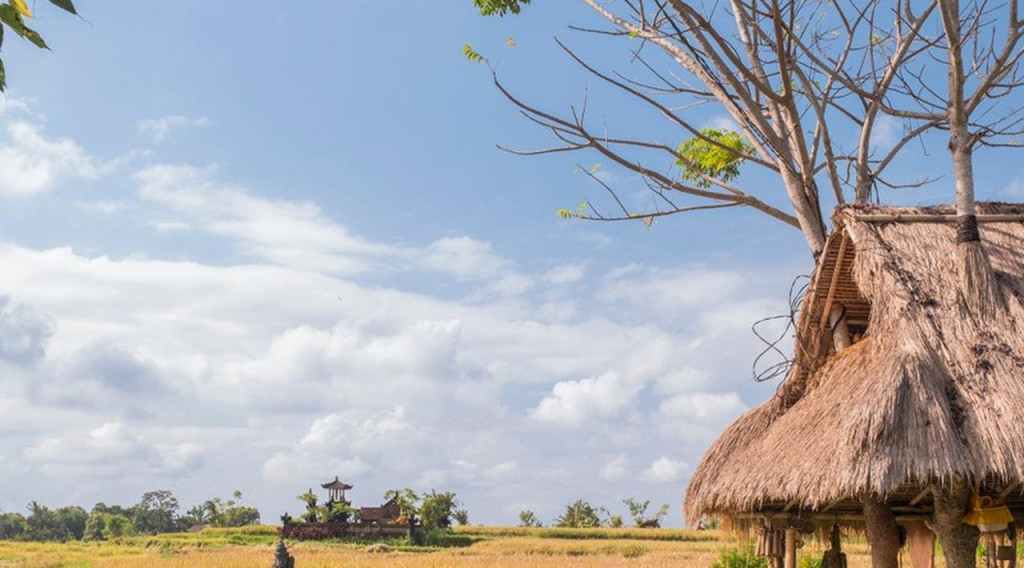 Desa Visesa Ubud (Foto: dok. visesa)