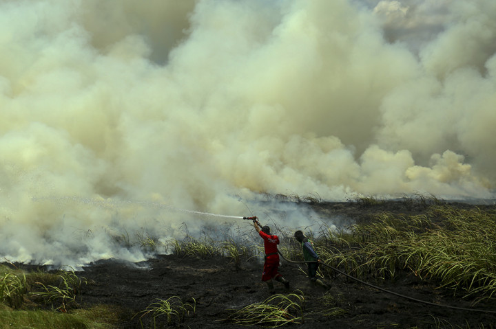 Angin Kencang Hambat Pemadaman Kebakaran Lahan di Ogan Ilir