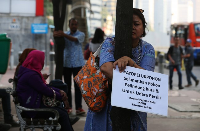 Ide Pemindahan 3.000 Pohon 'Tabrak' Kampanye 1 Miliar Pohon