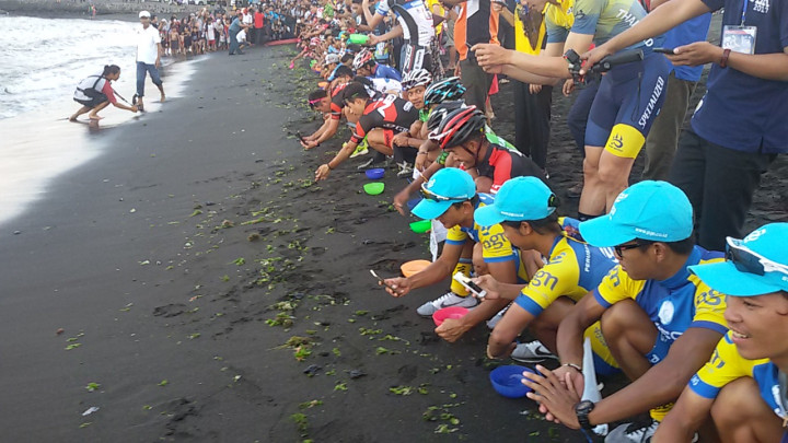 Pembalap Tour de Banyuwangi-Ijen Melepas Tukik