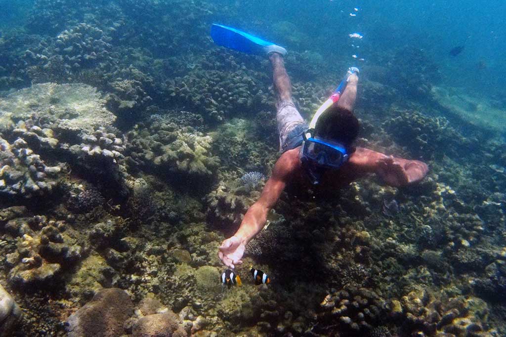 Pesona Wisata Bawah Laut Tanjung Lesung