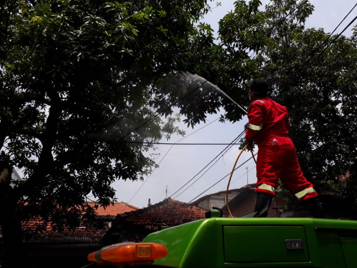 Warga Semper Lega Serangan Ulat Bulu Musnah