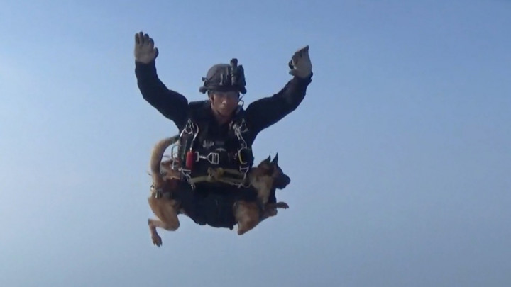 Prajurit Kopassus Beraksi Terjun Payung Membawa Satwa