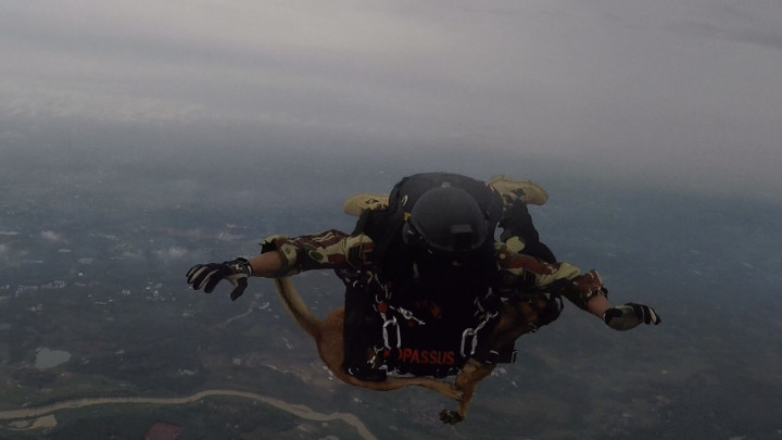 Kopassus Terjun Bebas Membawa Satwa Pecahkan Rekor MURI