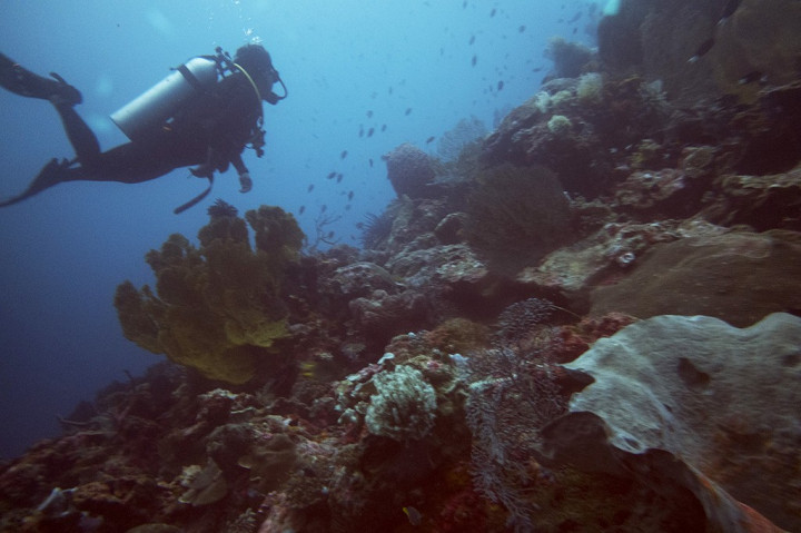 DPRD Sulteng Dukung Pembangunan Tol Laut di Wakatobi