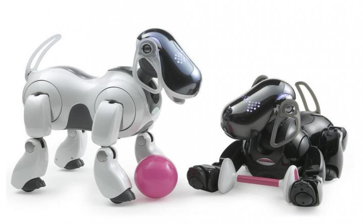 Sony Kembali ke Industri Robot dengan Aibo Terbaru