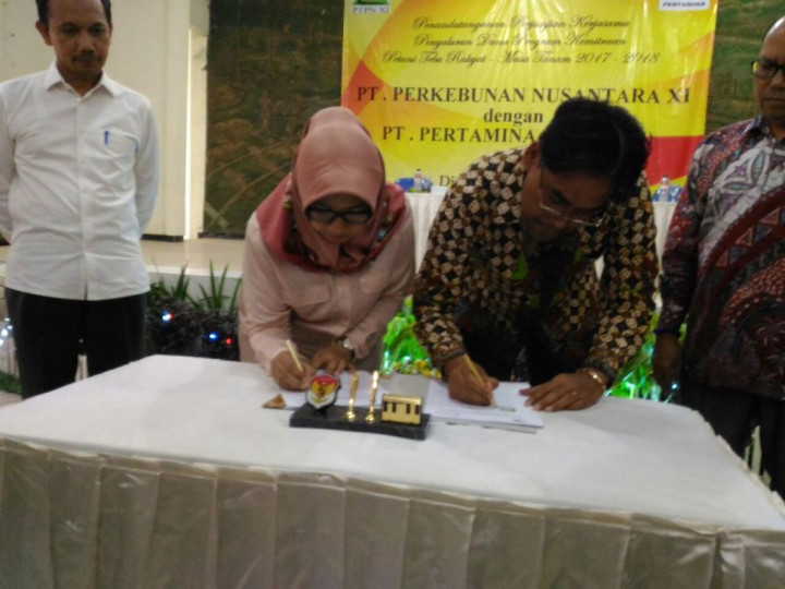 Pertamina-PTPN XI Kucurkan Rp110 Miliar ke 3.400 Petani Tebu