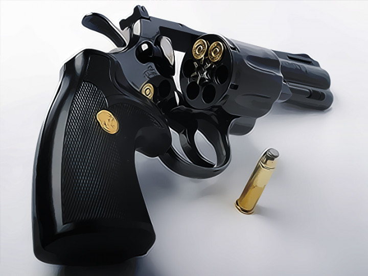 BPK Analisa Pembelian Senjata