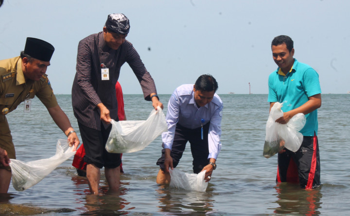 Ganti Alat Tangkap, Nelayan Khawatir Hasil Menurun