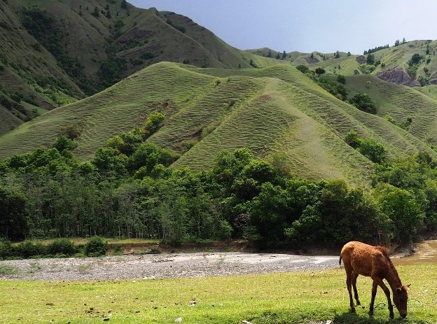 Lembah Ollon, Primadona Baru di Toraja