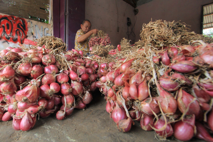 Kementan Mempercepat Ekspor Bawang Merah