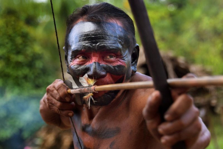Tribe Sharpens Arrows against Amazon Invaders