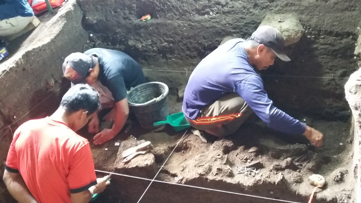 Tulang Diduga Manusia Modern hingga Gajah Asia Ditemukan di Gua Braholo