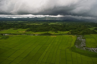 Myanmar Panen Padi dari Sawah yang Ditinggalkan Rohingya
