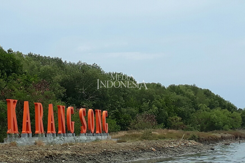 Wisata Hutan Mangrove Karangsong Indramayu