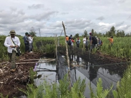 Peta Akurat Diperlukan untuk Pengelolaan Lahan Gambut