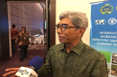 Kemenlu Berusaha Pastikan Identitas WNI Diduga Istri Teroris Maute
