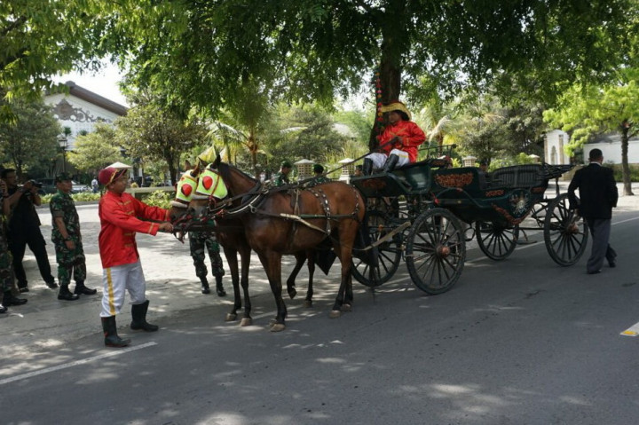 7.000 Relawan Jadi Pagar Betis saat Kereta Kuda Bobby Melintas