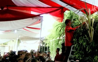 Tradisi Bleketepe dan Maknanya dalam Pernikahan Adat Jawa