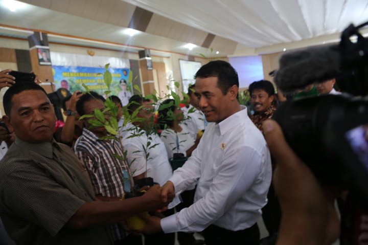 Kementan Optimalkan Lahan Rawa untuk Pertanian